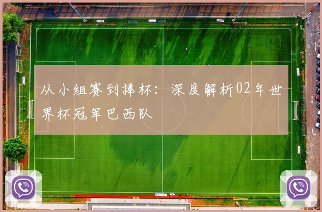从小组赛到捧杯:深度解析02年世界杯冠军巴西队
