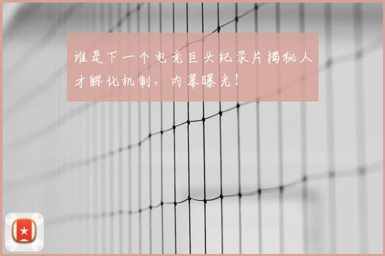 谁是下一个电竞巨头纪录片揭秘人才孵化机制，内幕曝光！